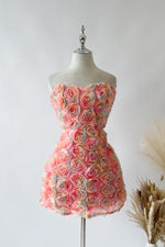 Rose Petal Multi Colour Mini Dress